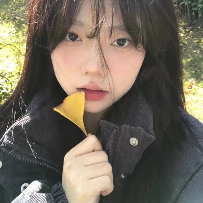 消消气第十二季