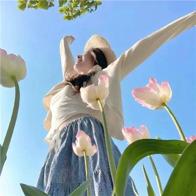 异种族风俗娘评鉴指南